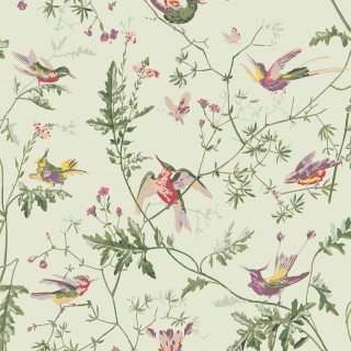 Колекція Selection of Hummingbirds, 100/14070