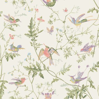 Колекція Selection of Hummingbirds, 100/14067