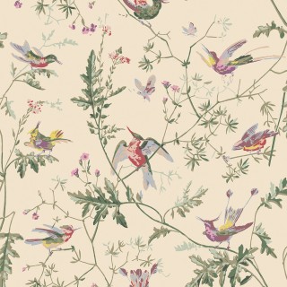 Колекція Selection of Hummingbirds, 100/14071